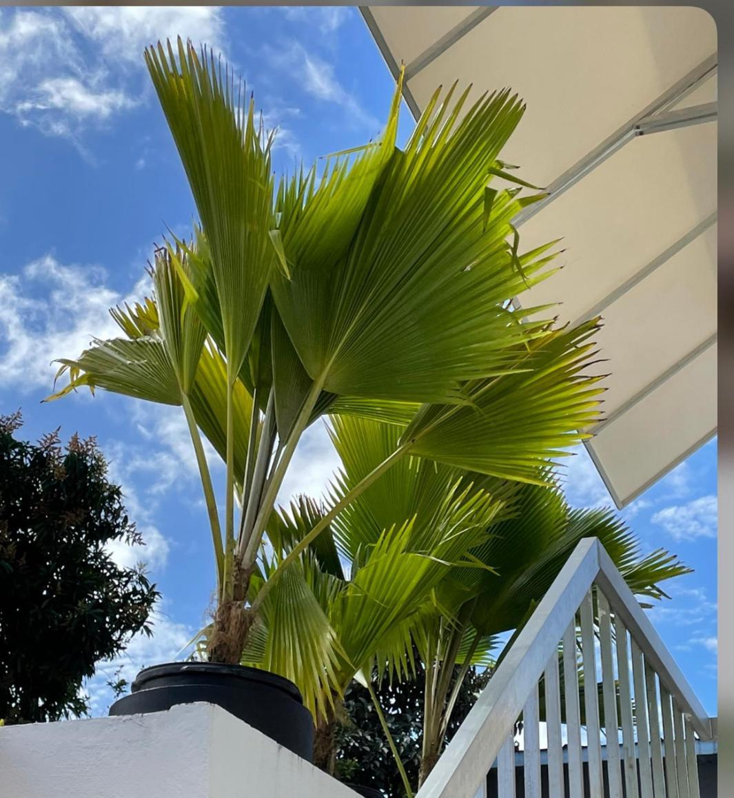 Apartament Mar Baltico San Juan Zewnętrze zdjęcie